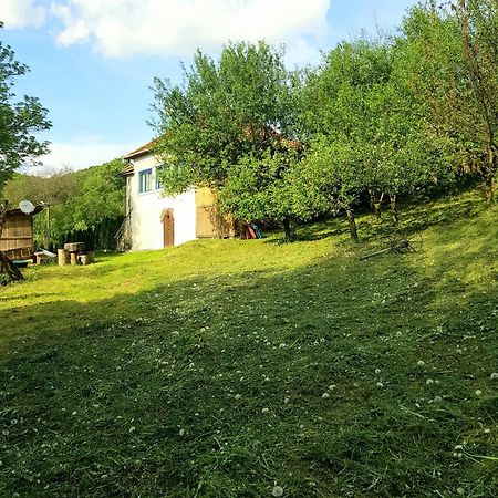 Willa Casa La Casiru 17 Straja  Zewnętrze zdjęcie