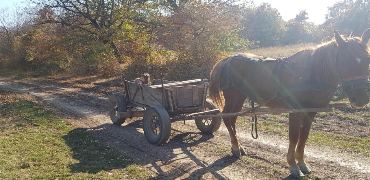 Willa Casa La Casiru Straja  Zewnętrze zdjęcie