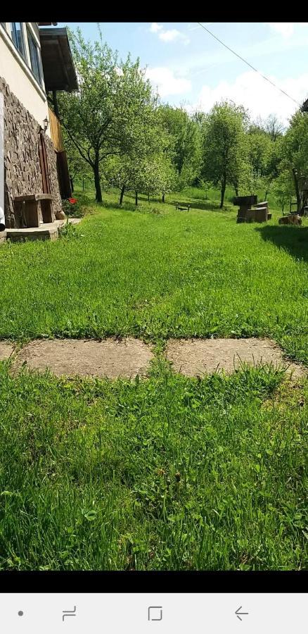 Willa Casa La Casiru 17 Straja  Zewnętrze zdjęcie