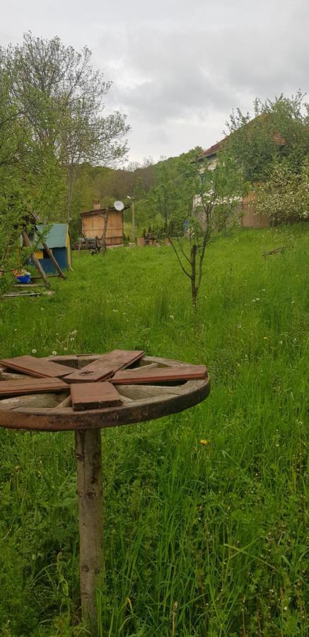 Willa Casa La Casiru 17 Straja  Zewnętrze zdjęcie