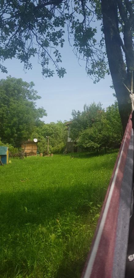 Willa Casa La Casiru 17 Straja  Zewnętrze zdjęcie